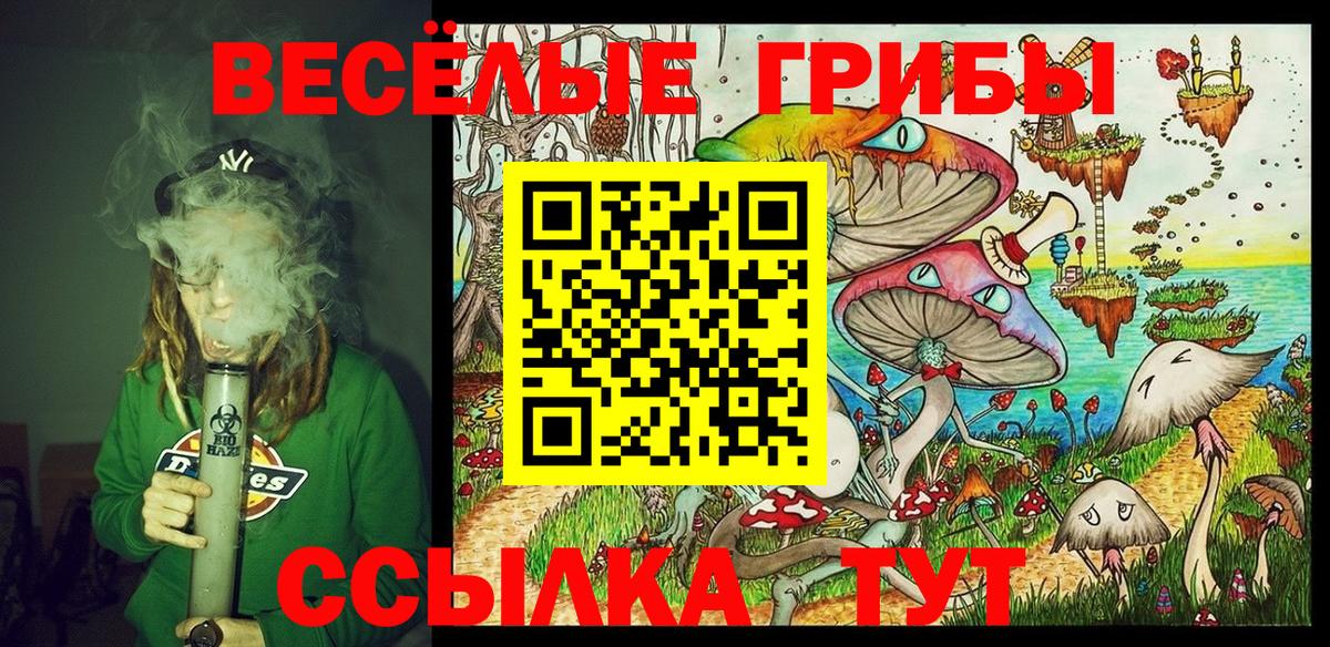 Гусь-Хрустальный  цена   Вход с VPN  Псилоцибиновые грибы мухоморы 
