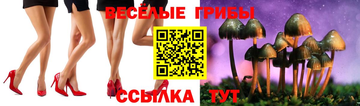 Галлюциногенные грибы мицелий Гусь-Хрустальный